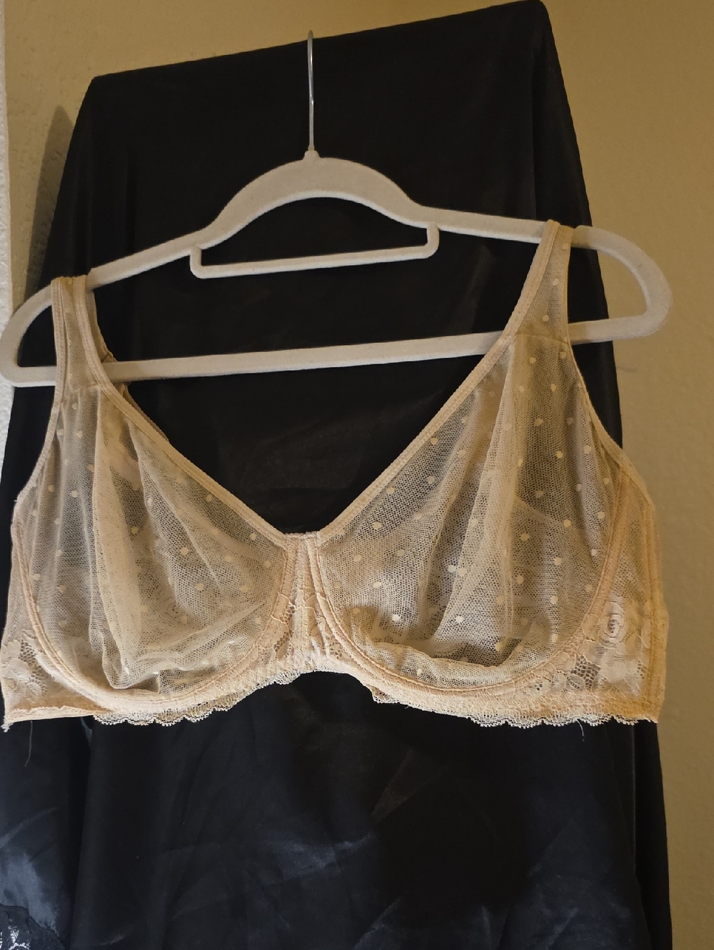 Sheer Dot Mesh Underwire Bra in Nude/Beige